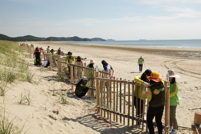 해상?해안국립공원 해안사구 복원