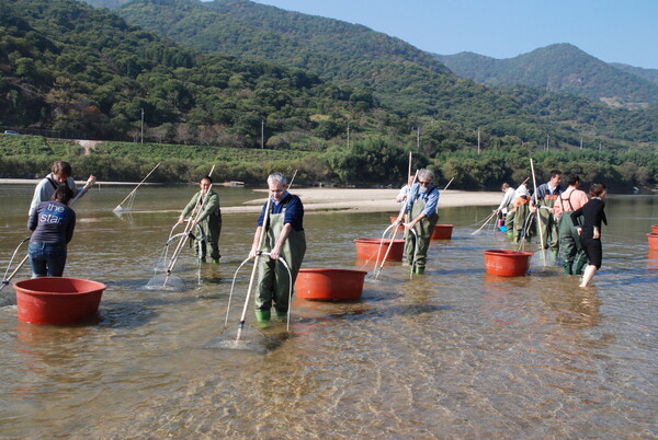 세계중요농업유산 인증을 받은 섬진강 재첩잡이 손틀어업.