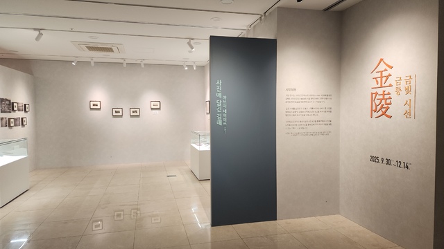 ‘금릉 금빛 시선’ 특별전.