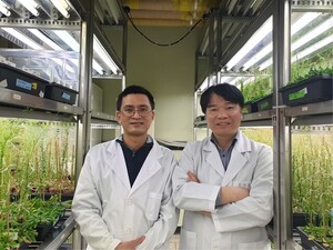 '식물 정밀 유전자 삽입' 기술의 새로운 방향성과 미래 청사진 제시 - 뉴스 썸네일 이미지