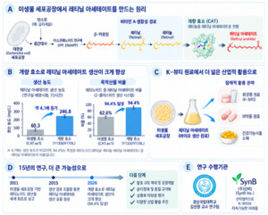 미생물이 만드는 비타민 A...김선원 교수 연구팀, K-뷰티 원료 생산기술... - 뉴스 썸네일 이미지